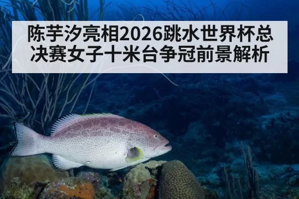 陈芋汐亮相2026跳水世界杯总决赛女子十米台争冠前景解析